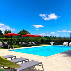Quinta Dom Sapo - Agroturismo